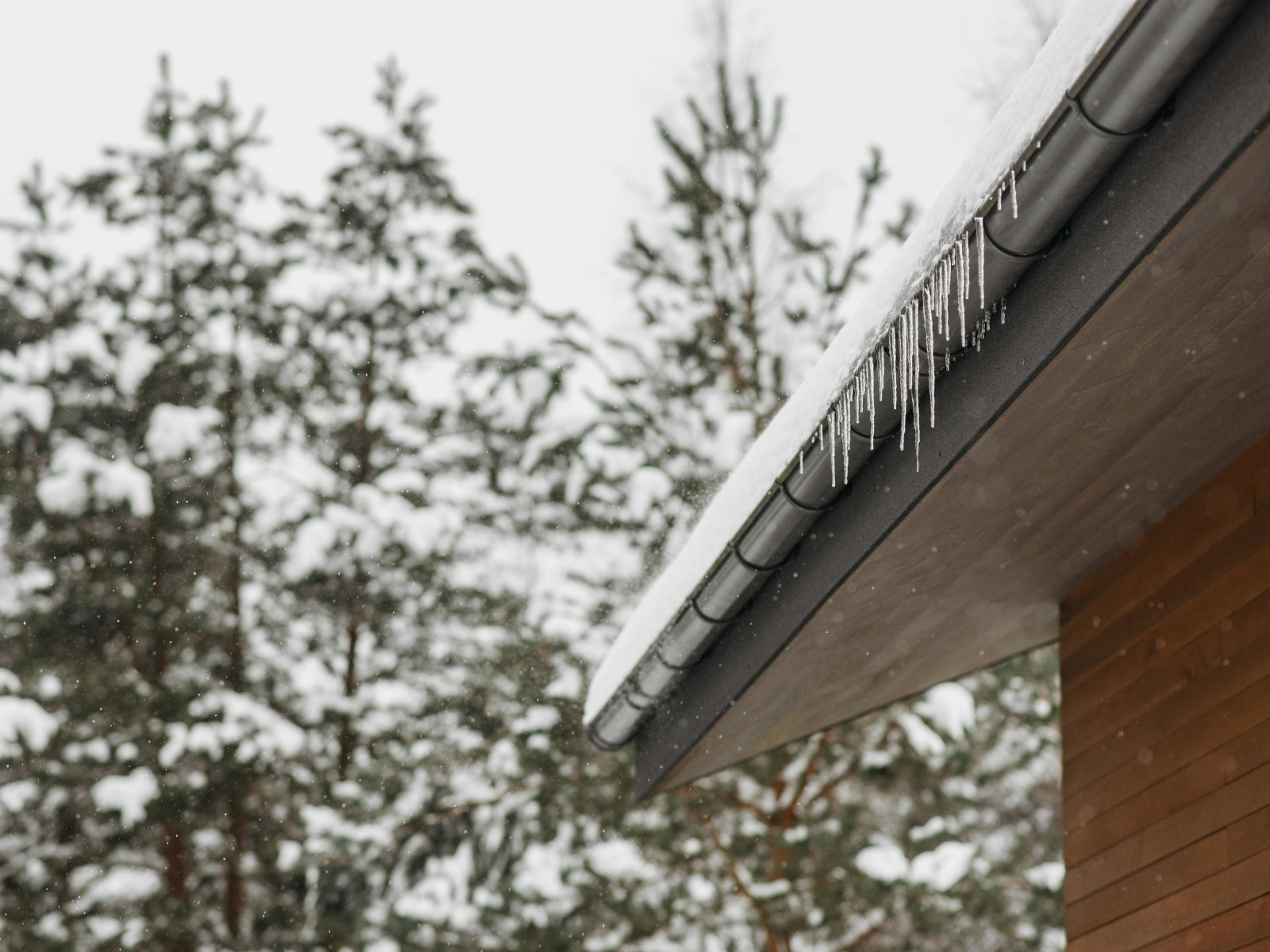 Roof Gutter